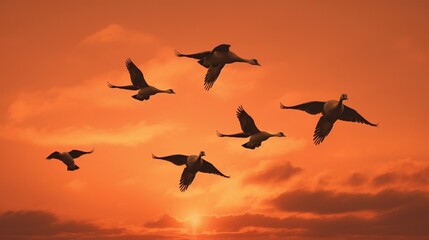 Fototapeta na wymiar A flock of geese in V-formation against a dusky orange sky.