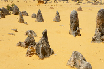 Pinnacles Desert in Western Australia, Nambung National Park, yellow desert, rocks on sand