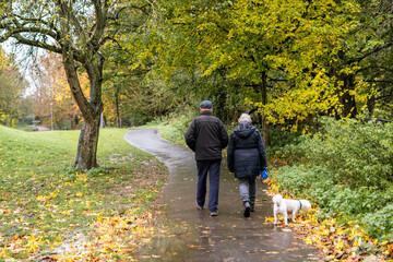 Fototapeta premium An old couple walking their dog in a public park during autumn season