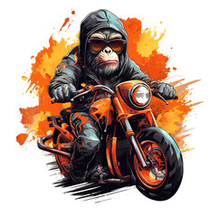 Image of monkey is riding a motorcycle on transparent background, Living life, Wildlife Animals. Illustration, Generative AI.