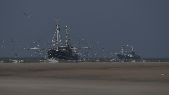 Kutter w&auml;hrend des Fischens vor Borkum