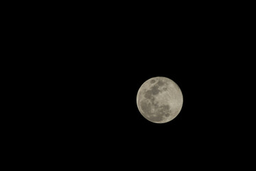 Naklejka na ściany i meble Close up full moon on the sky