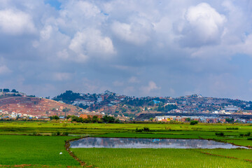 Paddy fields just outside the city, Antananarivo (Tana),  Madagascar