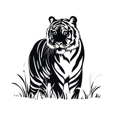 tiger black white 