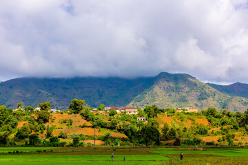 Fototapeta premium Paddy fields of Madagascar seen between Andasibe and Ansirabe, Madagascar