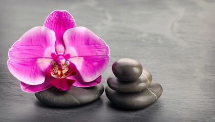 Naklejka na ściany i meble pink orchid with gray stones suitable background for wellness