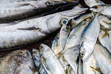 Obraz premium Sea food fresh fish in market