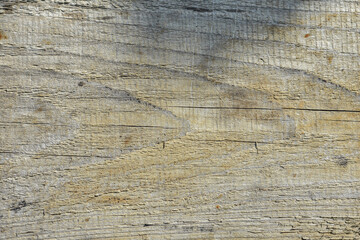 Natural Wood Texture Background