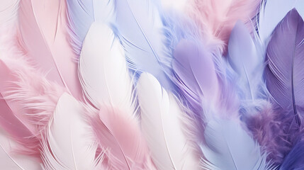 Fototapeta na wymiar Beautiful Colorful color feathers as background, closeup. 