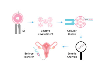Preimplantation Genetic Diagnosis (PGD) Scientific Design. Vector Illustration.