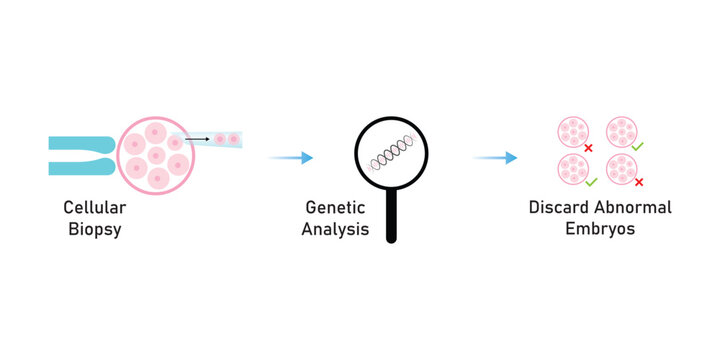 Preimplantation Genetic Diagnosis (PGD) Scientific Design. Vector Illustration.