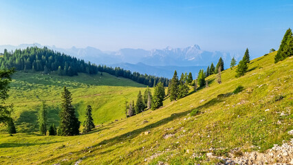 Lush green alpine pasture along hiking trail to the top of mountain peak Dobratsch, Villacher Alps,...
