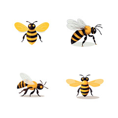 Set of Bee vector illustration