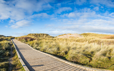 Board walk over the sand dunes - 694429532