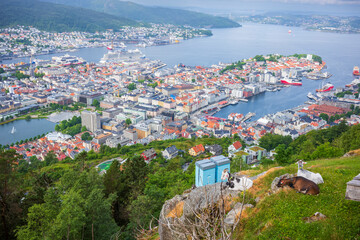 The view from Mount Floyen overlooing the  city of Bergen, Norway, taken in the summer.