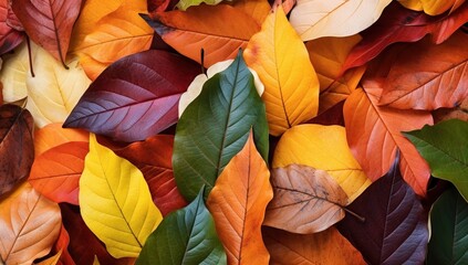 Colorful autumn leaves background - Powered by Adobe
