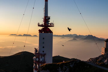 Birds flying around the radio tower with panoramic sunrise view from Dobratsch on Julian Alps and...