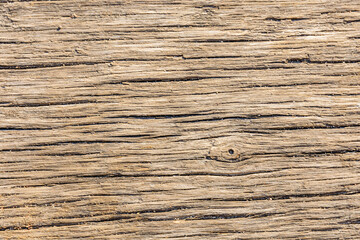 Natural wooden texture for the background. Cross section