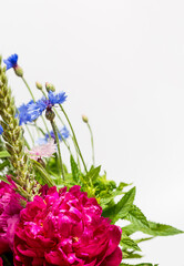 Beautiful wild flowers on a white background