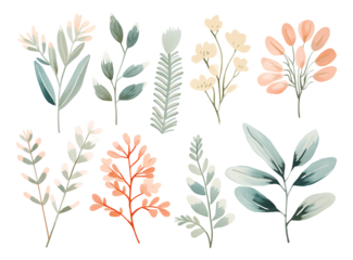 set of flowers