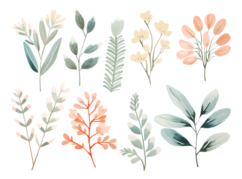 set of flowers