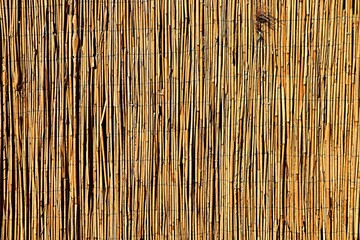 Background, texture, reed mat for fence