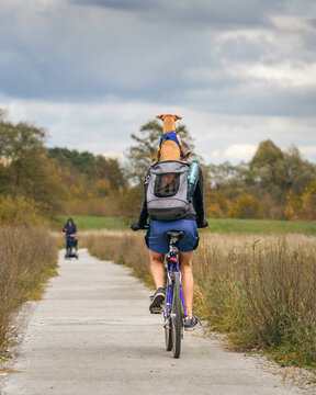 A man riding a bicycle with a dog in a backpack on his back. The image showcases friendships and adventure, making it ideal for the concepts of friendship, outdoor activities, and pet care