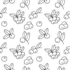 Cranberry seamless pattern, vector illustration hand drawing