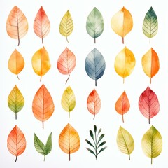 Obraz premium watercolor leaf pattern