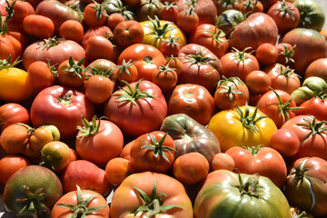 organic heirloom, tomatoes, as background