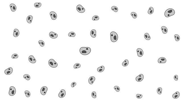 Grayscale cells multiplying on white background animated.