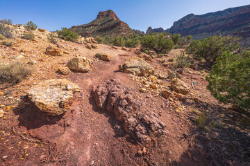 hiking the grandview trail in the grand canyon national park, arizona, usa