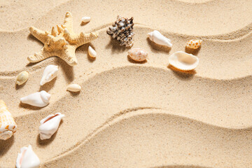 Fototapeta na wymiar Frame made of starfish and seashells