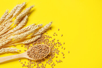 Wheat ears with grains and wooden spoon on yellow background
