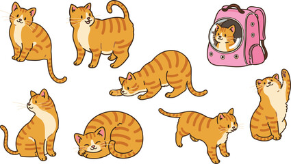 Simple and adorable illustrations of Orange Tabby Cat outlined