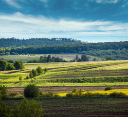 Fototapeta na wymiar Spring countryside view with rapeseed yellow blooming fields, groves, hills. Ukraine, Lviv Region.