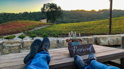 Relaxing overlook at California vineyards