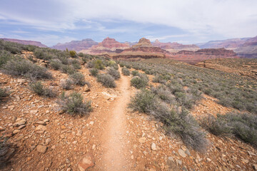 hiking the tonto trail in the grand canyon national park, arizona, usa