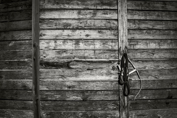 Horses bridles on a wall in a black and white picture