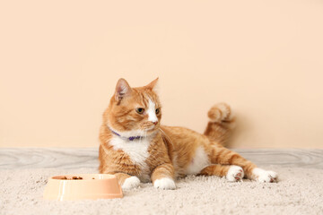 Cute red cat with feeding bowl near beige wall