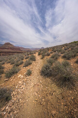 hiking the tonto trail in the grand canyon national park, arizona, usa