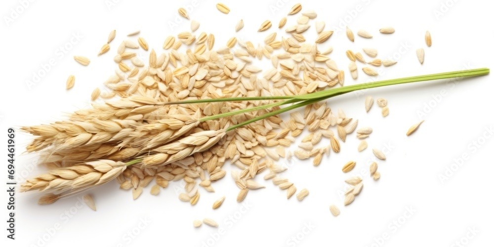 Poster a stalk of wheat next to a pile of oats. this image can be used to represent agriculture, farming, o