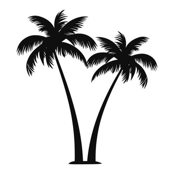Palm trees vector isolated on a white background, Tropical palm trees Silhouette