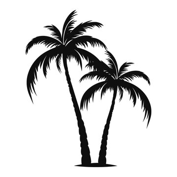 Two Palm trees Silhouette vector art, Tropical palm tree black Silhouette Clipart isolated on a white background