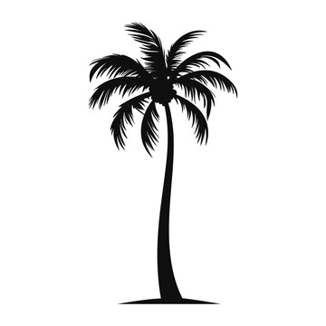A Palm tree black and white vector art, Tropical palm tree Silhouette isolated on a white background