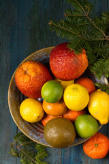 A variety of citrus fruits in a bowl with a Christmas tree branch, top view