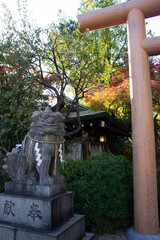 Leones Fu, perros guardianes templos y santuarios japoneses, Japón