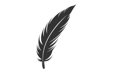Tableaux sur verre Plumes A Feather black Silhouette isolated Vector, Bird Feather Clipart on a white background