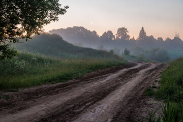 rural dirt road at foggy summer morning.
