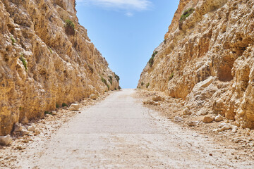 Endless Roads: Embracing Freedom